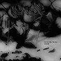 Basically Nancy - Wounds - Vinyl Record