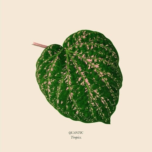 Quantic - Tropics - Vinyl Record