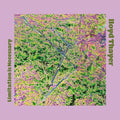 Thayer,lloyd - Limitation Is Necessary - Music CD