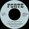 Reaching For Our Star B/W Run Between Raindrops [LP] Vinyl Record