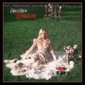Macve,holly - Wonderland - Vinyl Record