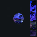 Not Even Noticed - Feel - Vinyl Record