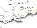 Play Music - Cricket Sings - \play 3 - Music CD