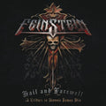 Feinstein,david Rock - Hail And Farewell - Music CD