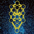 Ascension [LP] Vinyl Record
