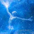 Liquid Mind - Liquid Mind Xv: In The Love - Music CD
