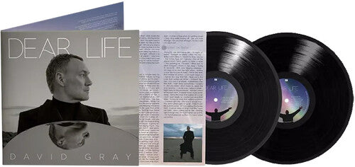 Gray,david - Dear Life - Vinyl Record