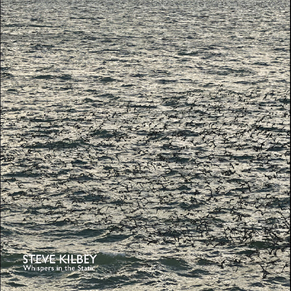 Whispers In The Static [Colored Vinyl] (Gry) Vinyl Record