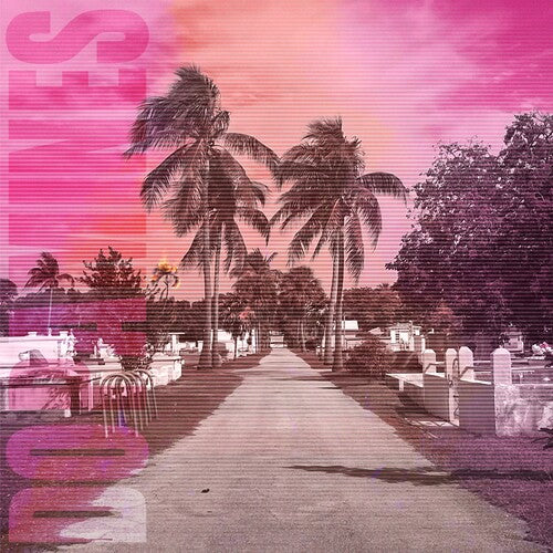 Dopamines - 80/20 - Vinyl Record