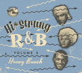 Hi Strung R&b Volume 5: Honey Bunch / Var - Hi Strung R&b Volume 5: Honey Bunch / Var - Music CD