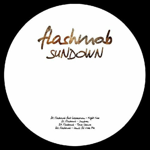 Flashmob - Sundown Album Sampler - Vinyl Record