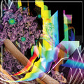 Soulkeeper - Holy Design - Music CD