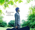 Hata,motohiro - Evergreen - Vinyl Record