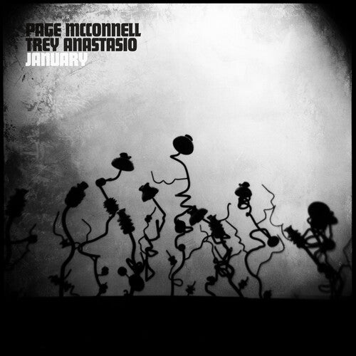 Mcconnell,page & Anastasi,trey - January - Vinyl Record