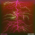 James,leifur - Magic Seeds - Vinyl Record