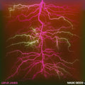 Magic Seeds [LP] Vinyl Record