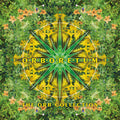 Orb - Orboretum: The Orb Collection - Vinyl Record