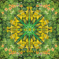 Orb - Orboretum: The Orb Collection - Music CD