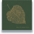 Scrimshire - Music For Autumn Lovers - Vinyl Record