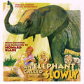 Blake,howard - An Elephant Called Slowly - Music CD