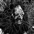 Concrete Caveman - War Under Glass - Vinyl Record