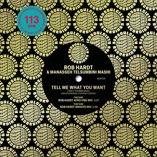 Hardt,rob / Mashi,manasseh Telsumbini - Tell Me What You Want - Vinyl Record
