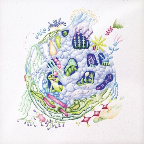 Edren,david - Binnenin - Vinyl Record