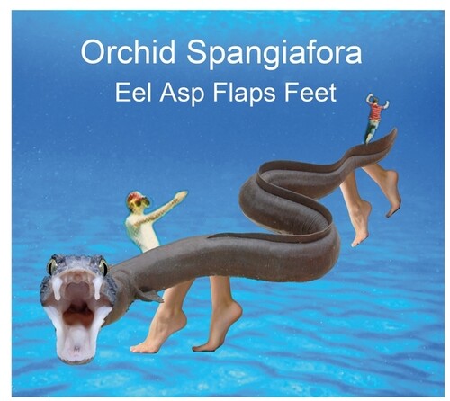 Orchid Spangiafora - Eel Asp Flaps Feet - Music CD
