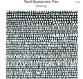 Gustavsen,tord Trio - Seeing - Vinyl Record