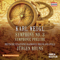 Weigl / Deutsche Staatsphilharmonie Rheinland-pfaz - Symphony No. 3 Symphonic Prelude - Music CD