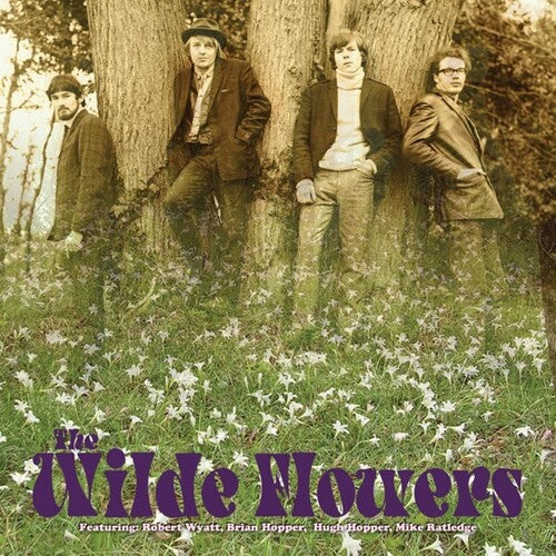 Wilde Flowers - Wilde Flowers - Vinyl Record