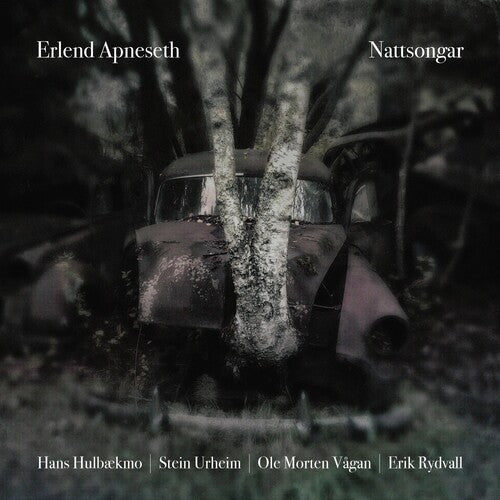 Apneseth,erlend - Nattsongar - Music CD