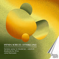 Schultz / Grundtvig / Akademisk Kor Arhus - Efterklange Samlede Vaerker For Blandet Kor - Music CD