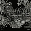 Inoue,kaoru - Missing Myth Of The Future - Vinyl Record