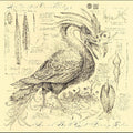 Reid,sarah Belle / Golia,vinny - Accidental Ornithology - Music CD