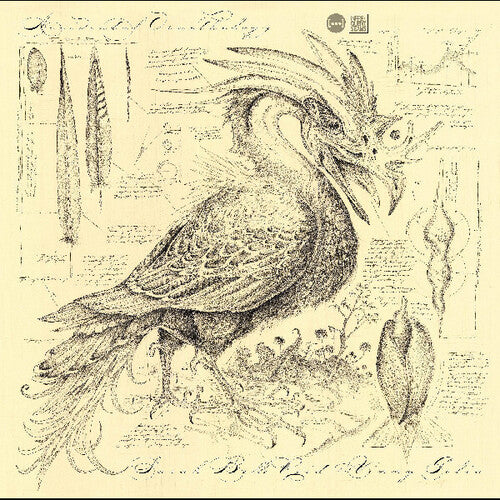 Reid,sarah Belle / Golia,vinny - Accidental Ornithology - Music CD