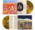 Trampled By Turtle & Dead Man Winter - Always Here / Always Now - Vinyl Record