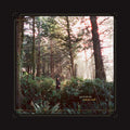 Haley Heynderickx - Seed of a Seed [LP]