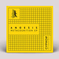 Anoesis - Metacognition - Vinyl Record