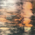 Cohen,avishai - Ashes To Gold - Vinyl Record