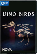 Nova: Dino Birds - Nova: Dino Birds - DVD