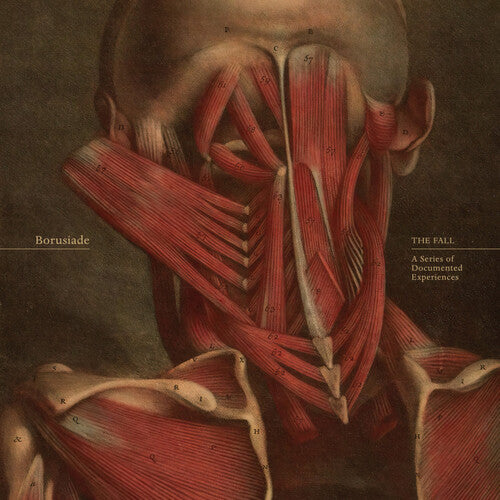 Borusiade - Fall: A Series Of Documented Experiences - Vinyl Record