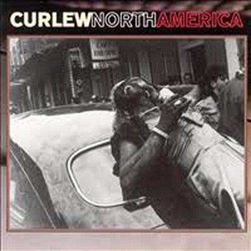 Curlew - North America - Music CD