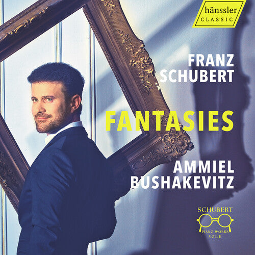 Schubert / Bushakevitz - Piano Works Vol. 2 - Fantasies - Music CD
