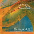 Es Trio - Foreign In Us - Music CD