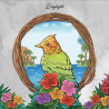 Xoxo Extreme - Daylight - Music CD