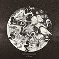Unthanks - In Winter - Vinyl Record