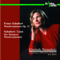 Copenhagen Philharmonic - Wandererfantasie Der Wanderer - Music CD