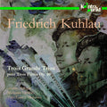 Adorjan,a. / Henkel,m. - Trois Grands Trios Op. 86 - Music CD