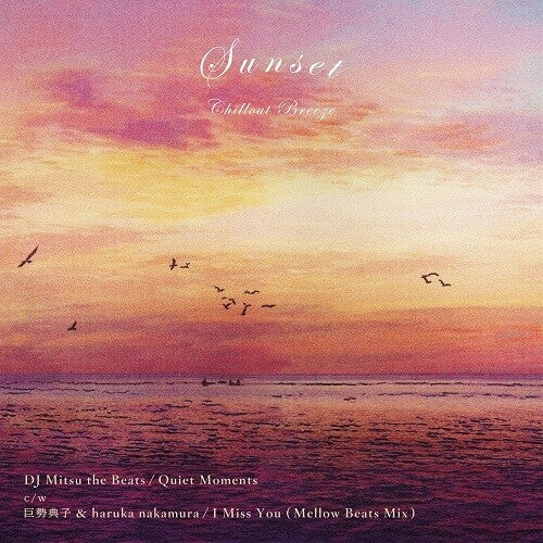 Dj Mitsu The Beats - Quiet Moments / I Miss You (mellow Beats Mix) - Vinyl Record